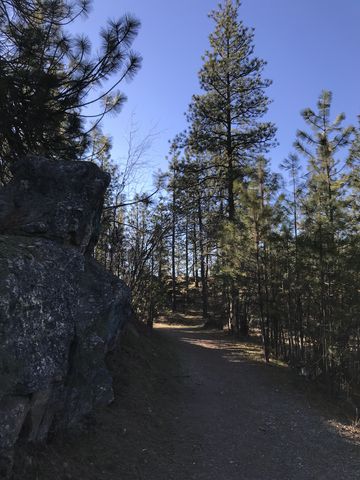 Much of the Pond Loop Trail is a wide twintrack