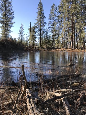 A small pond along the Nimbus Knob Trail