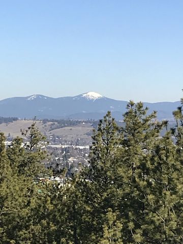 Mount Spokane in the distance