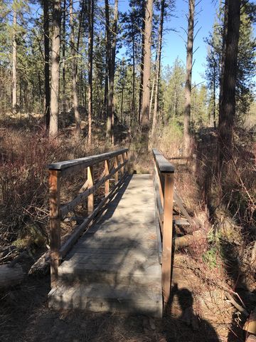 A bridge on the Goldback/Deep Ravine trail