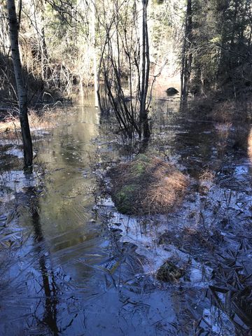 This flooded section is actually where the trail is (Deep Ravine Trail)