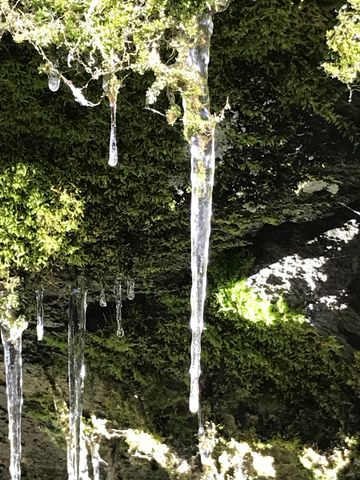 Icicles near the Deep Ravine cave