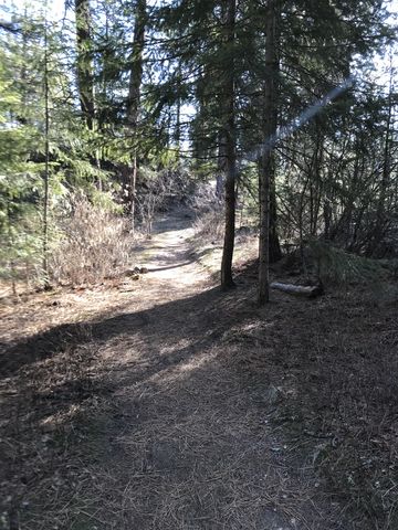 Heading south on the Pinecliff Loop