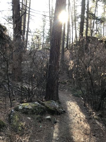 Enchanted Ravine near the junction of Pinecliff and Nimbus Knop trails