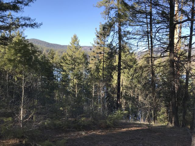 The hike along the river is up on a bluff with filtered views of the water