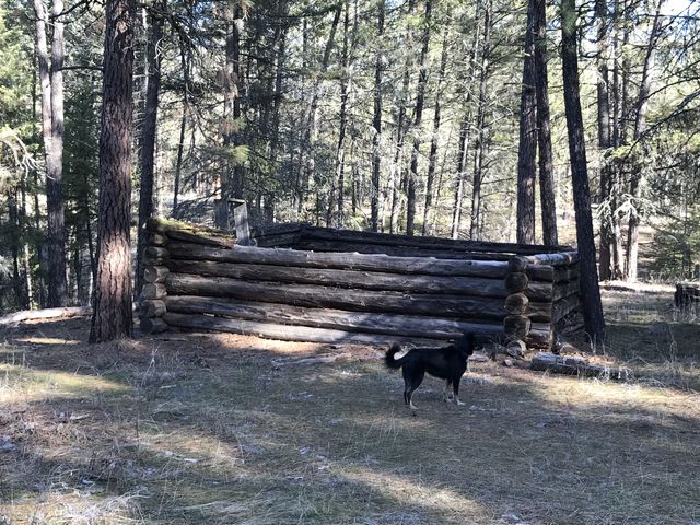 A decaying log cabin