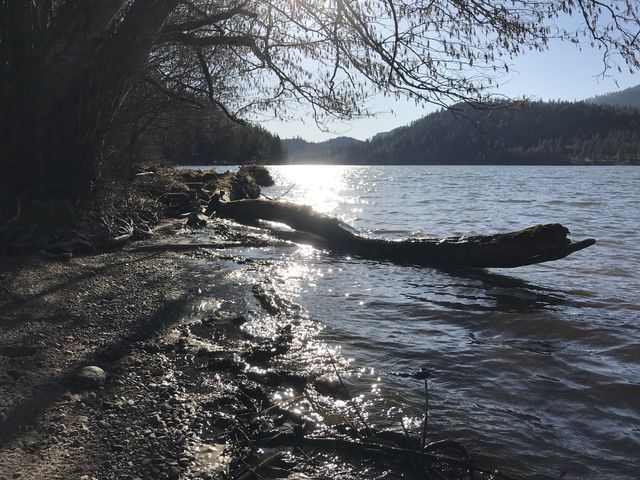 View west from a beach spot