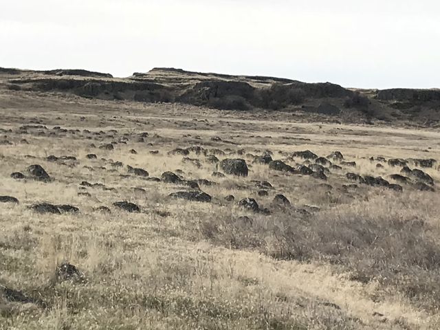 Boulder-strewn meadows abound