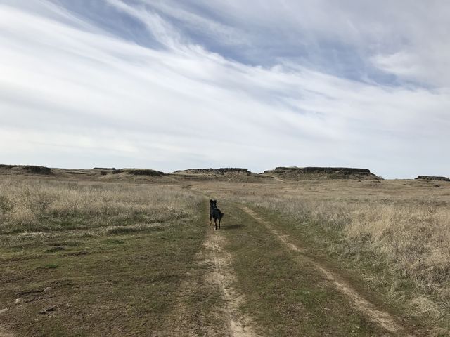 Much of the trail makes use of old farm roads. Mesas in the distance