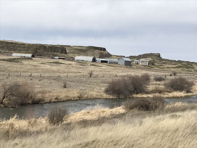 Escure Ranch buildings