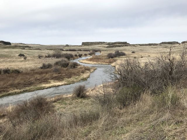 Rock Creek, as it meanders towards Towell Falls (left)