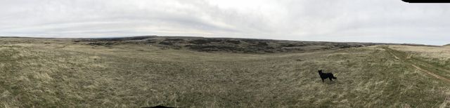 Panorama shot from the eastern side of Rock Creek, with the flat-topped basalt outcroppings in the distance