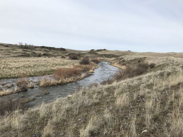 Rock Creek, taken from the eastern bank