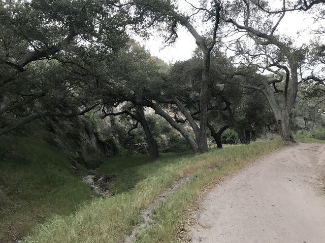 Sleepy Hollow Trail