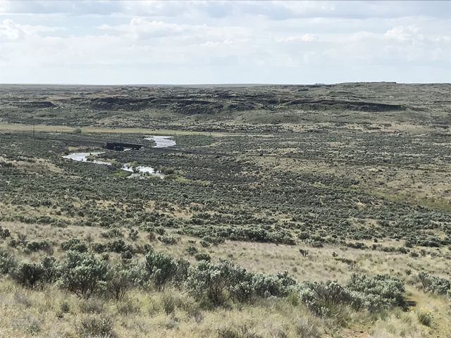 Sagebrush, rail line, and Crab Creek