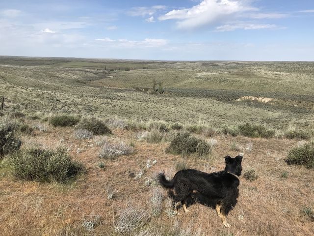 Naughty looking across the mesas