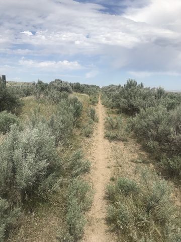 More sagebrush and barbed wire. Better get used to it!