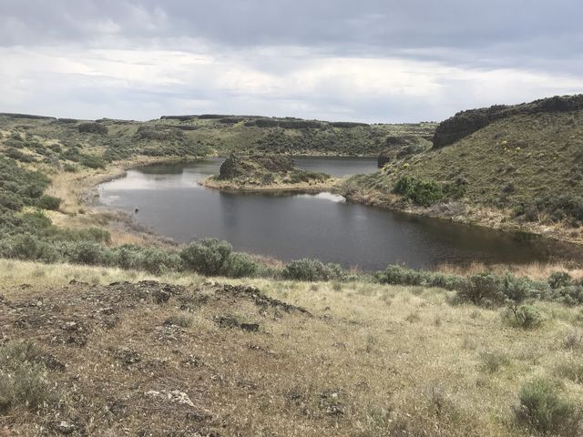 A pretty seasonal pond along the Lakeview Ranch trail