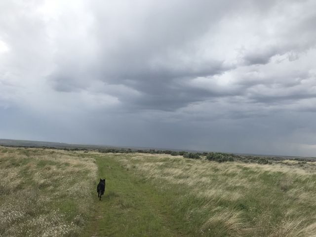 A few miles from the trailhead, with a thunderhead pushing in