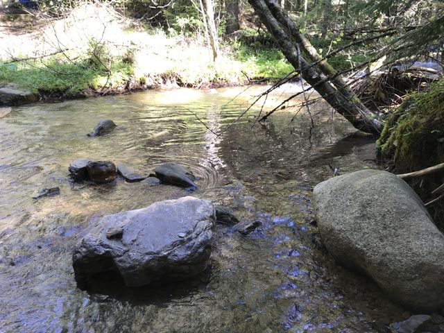 Hayden Creek