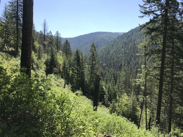 View upriver towards Spades Mountain