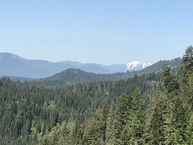 View west towards the Selkirk Mountains