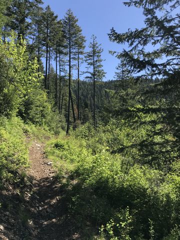 The trail crosses a burnt area about 1 mile in. Great views along this stretch