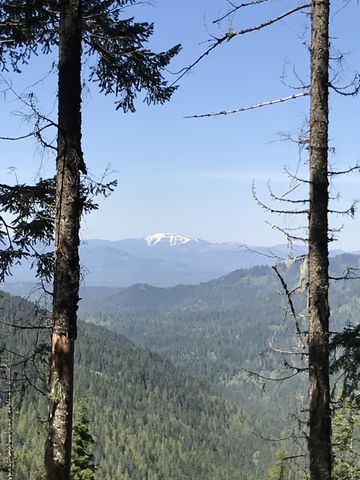 View west. Thats likely snow-covered Mount Spokane