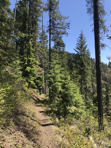 Nicholas Ridge trail along the southern flank of Badger Mountain