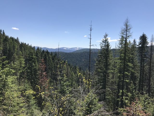 View east from Nicholas Ridge