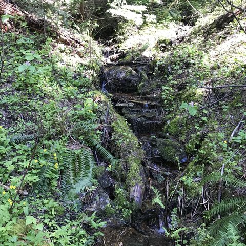 Hells Creek starts out as a small trickle