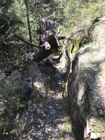 A narrow chute in the trail