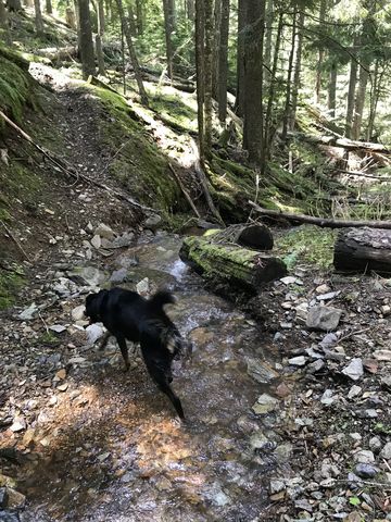 The lower trail crisscrosses Hells Creek