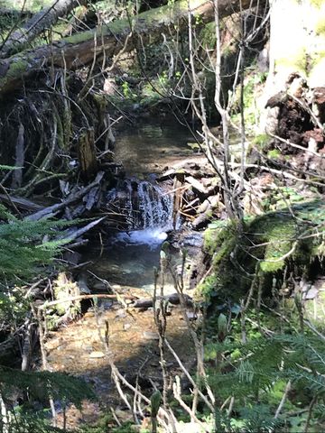 A small waterfall in Hells Creek