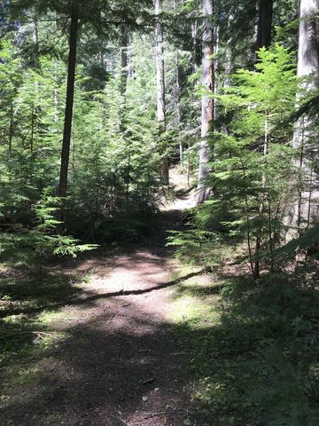 The lower trail is pleasant in the stretches that are cleared