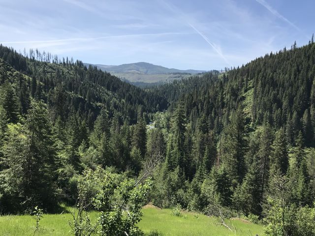 View south into the Clearwater Mountains