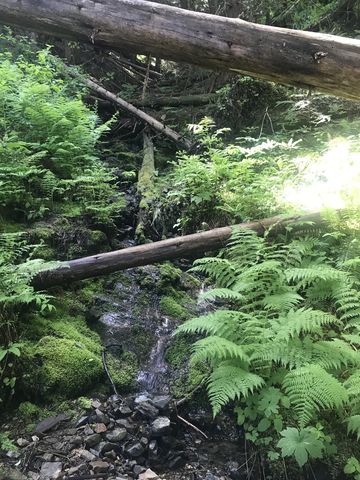 A few trickles appear as you get closer to the East Fork