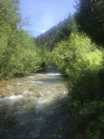 The first crossing of the East Fork. This was the only one that needed fording. The water was mid-thigh deep.