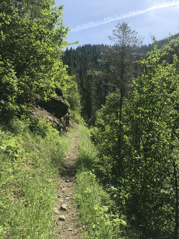 The trail continues as a singletrack along the East Fork