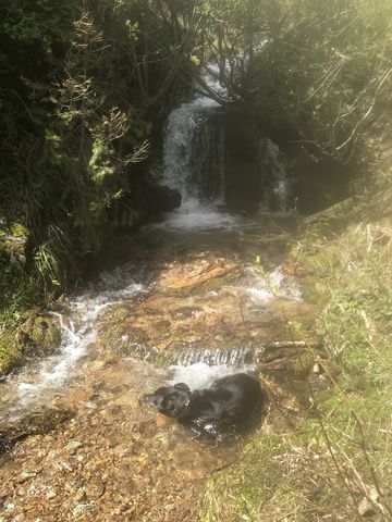 The last water source before getting onto the ridge. This high up its easy to step over the East Fork