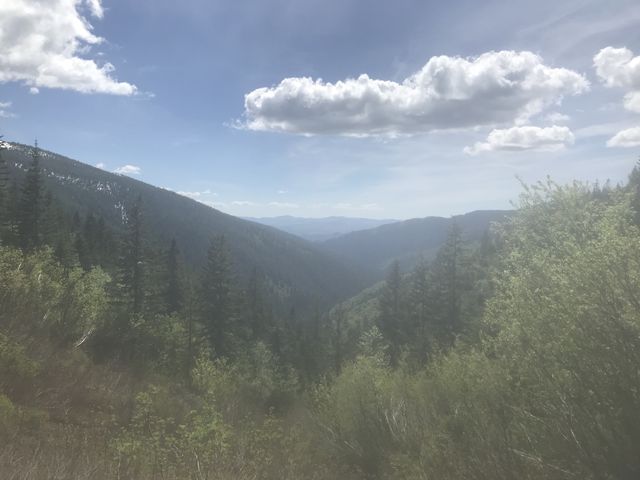 View down the East Fork canyon. Clearwater Mountains in the distance