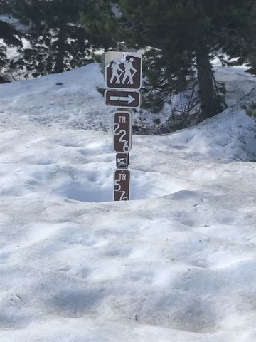 Trail signage at the trailheads is helpful. Actually, necessary, since the arrow merely points at an expanse of snow…