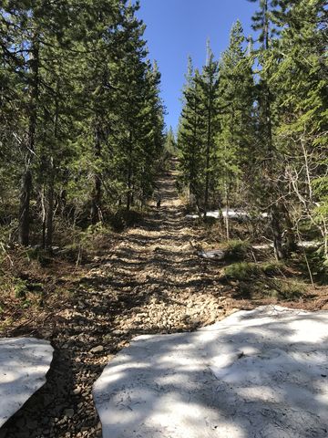 A steep ascent on the Dam Ridge trail. Its much steeper than it looks.