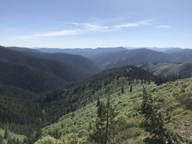 Ames Ridge in the foreground. Elsie Peak to the right in the background