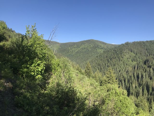 Looking back up the Ames Creek drainage