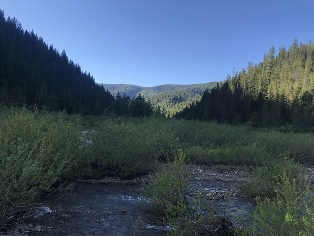 Middle Fork Big Creek. Yes, it needs to be forded. Four times. Also mid-thigh deep