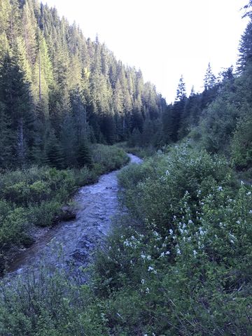 Middle Fork Big Creek