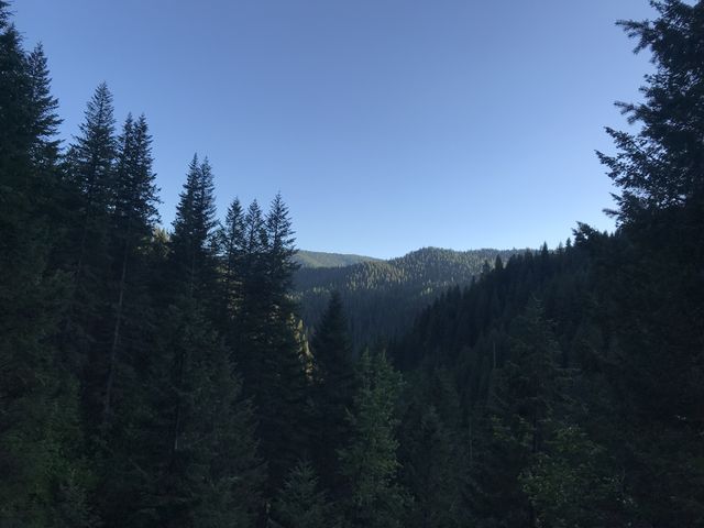 View from Bronson Meadows trail. That may be Spooky Butte in the distance