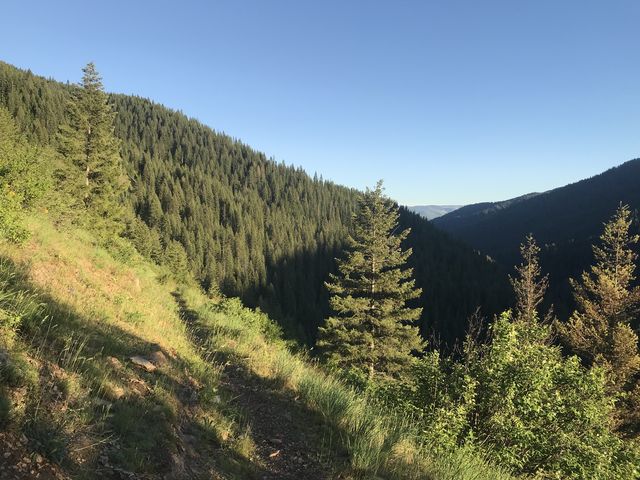 A high mountain meadow above the Middle Fork