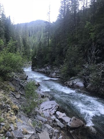 The trail drops back down to the Middle Fork…